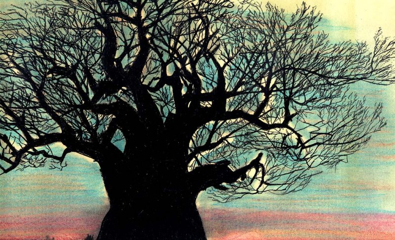 The Tree by Steve Lefler